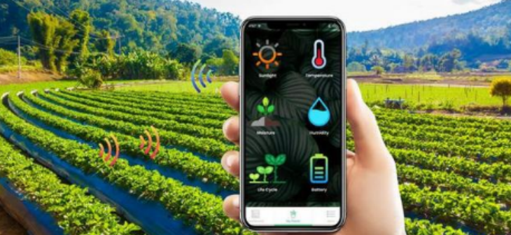 k8凯发登录--天生赢家·一触即发